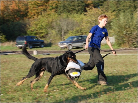 Training in Estonia 9/2007